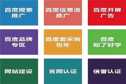 案例展示：SEM助力中小企业拓展市场